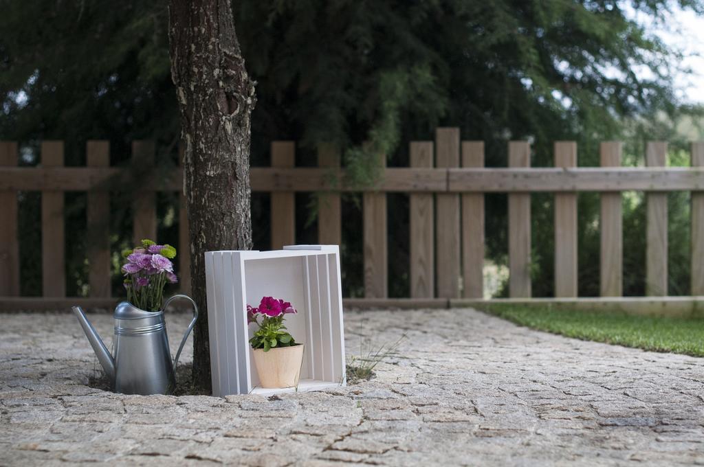Quinta Do Medronheiro Hotel Rural Висеу Екстериор снимка